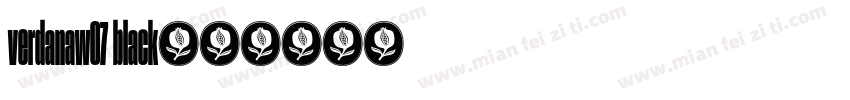 verdanaw07 black字体转换